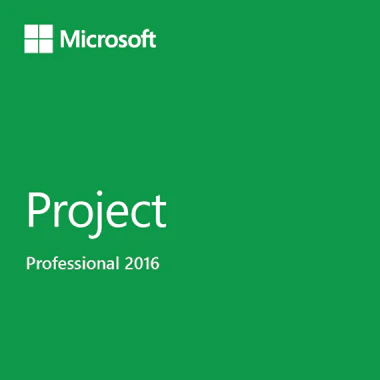 2016ProjectProfessional