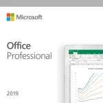 Microsoft Office Professional 2019 License