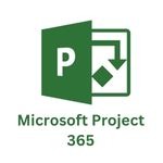 project plan 365 activation code